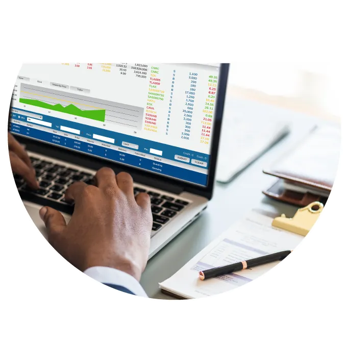 Accountant Handling Company Accounts